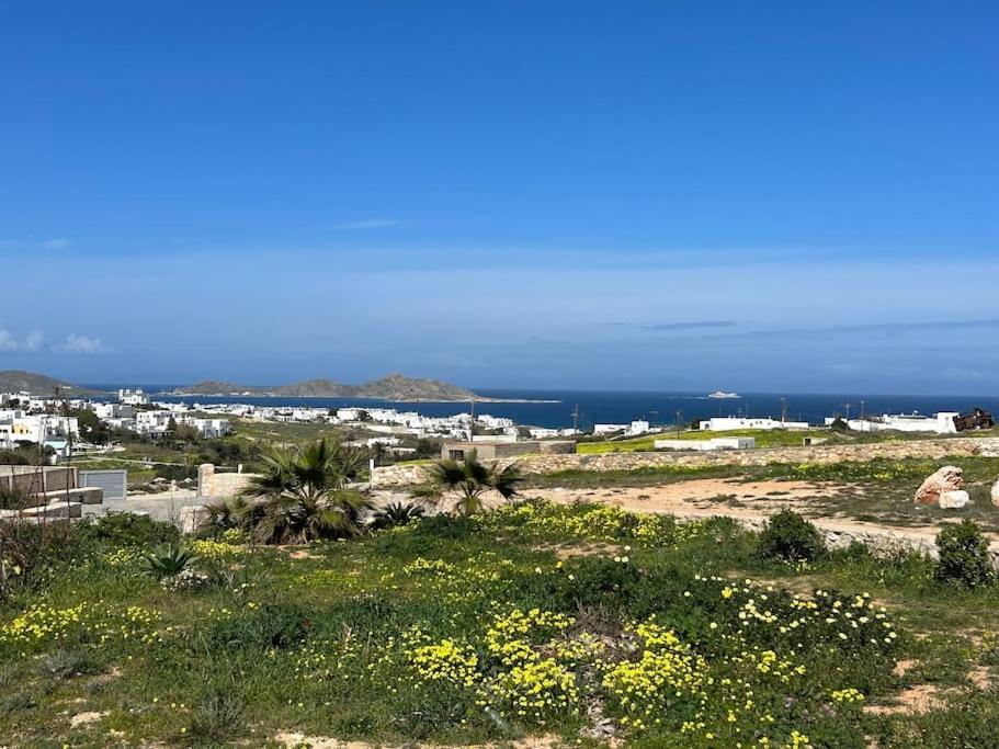 Aretousa Residence In Naoussa, Paros Exteriér fotografie