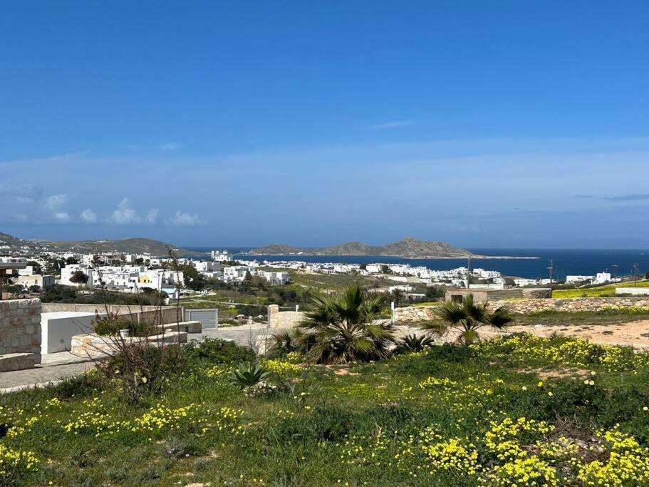 Aretousa Residence In Naoussa, Paros Exteriér fotografie